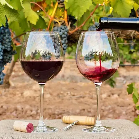 Elegant Seaview Da Rocha Appartement *