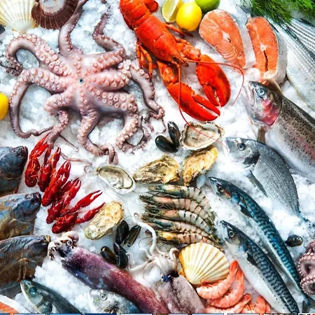 Elegant Seaview Da Rocha Appartement