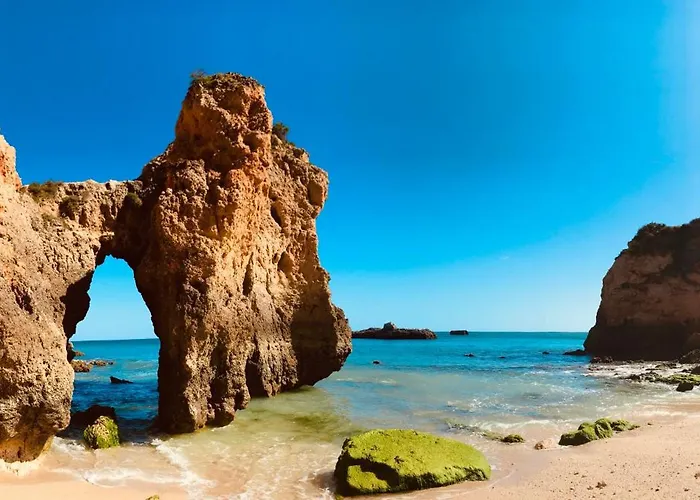 Elegant Seaview Da Rocha 아파트 포티마오