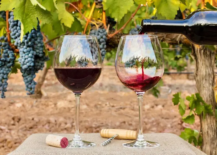 Elegant Seaview Da Rocha 아파트 *