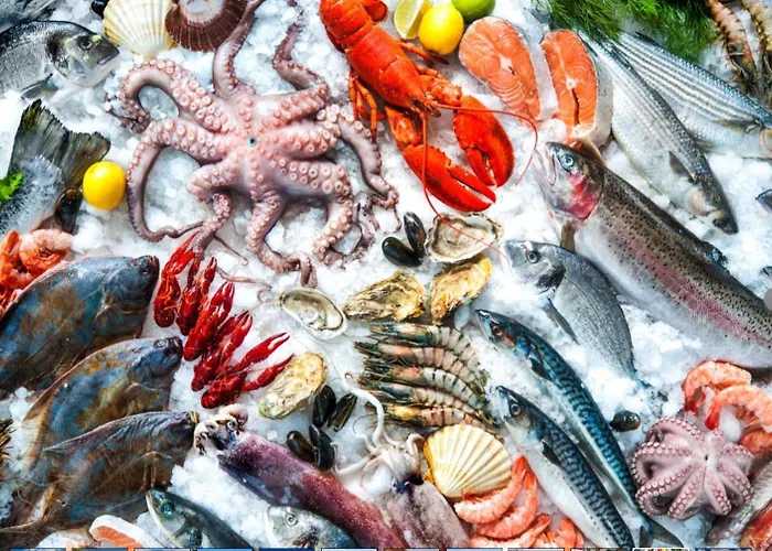 Elegant Seaview Da Rocha 아파트