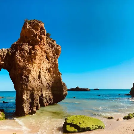 Elegant Seaview Da Rocha Apartment Portimao